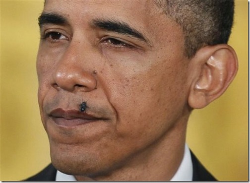 manure_pile_obama_with_fly