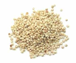 [quinoa1[4].jpg]