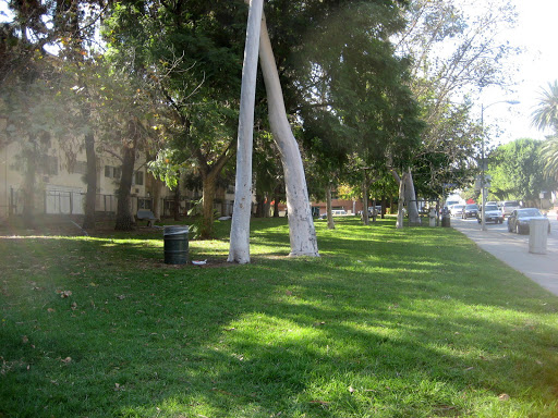 Picasa Web Albums - Darryl Ford - Smith Park