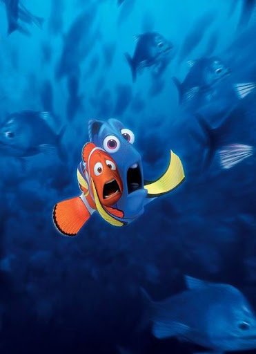 buscando nemo. Web Albums - Chrys - Nemo
