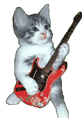 FG-Guitar-cat-1.gif