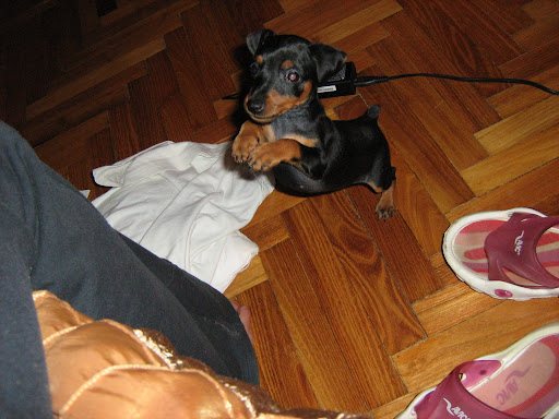 k%C3%A9p%20071.jpg