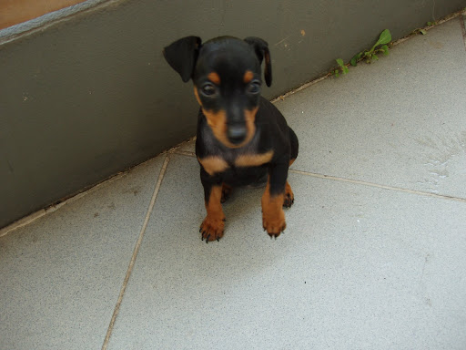 Panna%20012.jpg