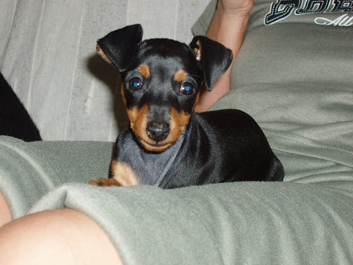 Panna4%20074.jpg