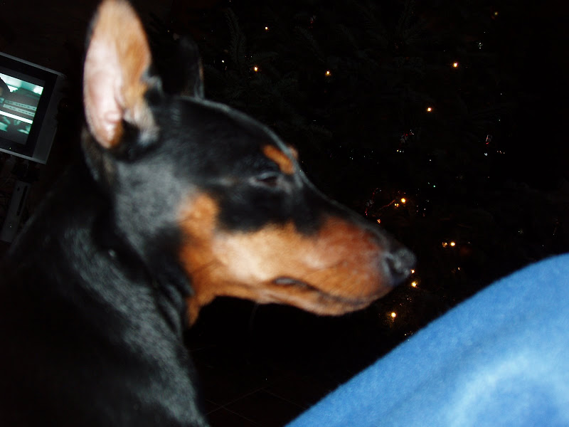 P1010539.JPG