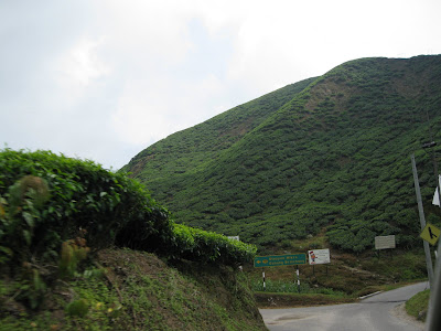 IMG_0055.JPG