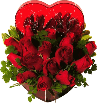 flores4.gif