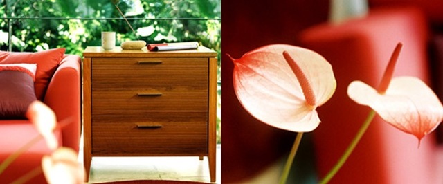 [fernandojaeger4[2].jpg]