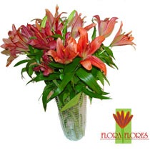 [Flora Flores R$95,00[3].jpg]