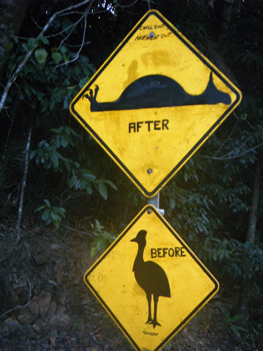 Kiwi warning road sign