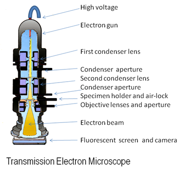 Transmission Electron Microscope Diagram