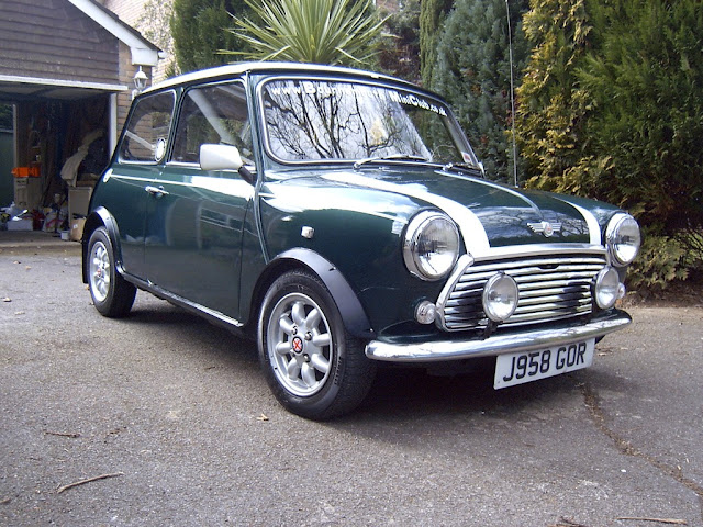 COOPER%202.jpg