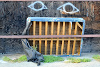 Red Hook