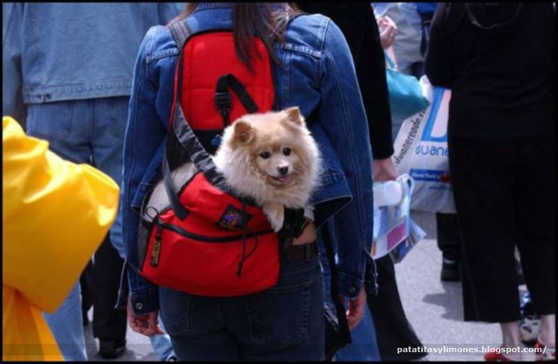 [2 -1269603373_doseng.org_daily_picdump_640_15[2].jpg]
