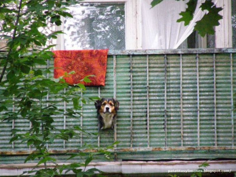 [2 -1269603490_doseng.org_daily_picdump_640_100[2].jpg]