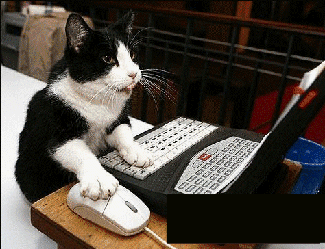 GIFS ANIMADOS USANDO UN ORDENADOR - Imagui