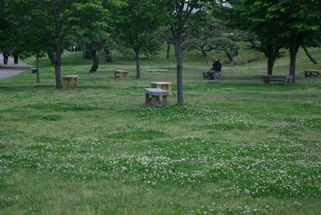 [2010-05-15 Hamarikyu Gardens for Posting (21)[3].jpg]