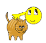 00012016.gif