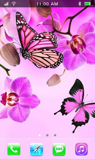 Butterflies Magic HQ LWP