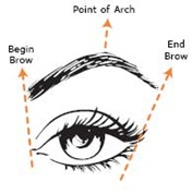 eyebrows-right-shape