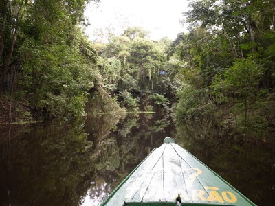 R0013619 R0013619