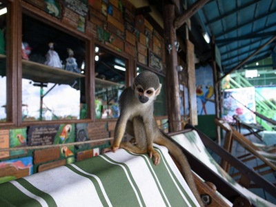 R0013599 R0013599