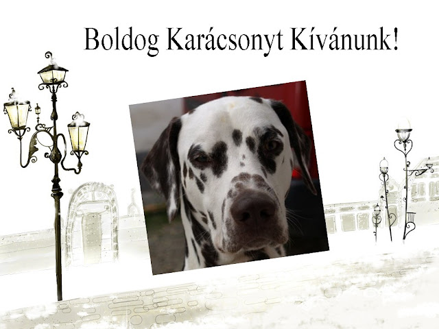 boldogkar%C3%A1csonyt.jpg