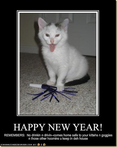 cat-new-year