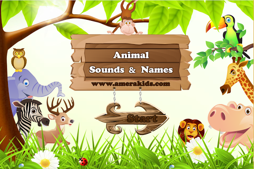 Animal Sounds