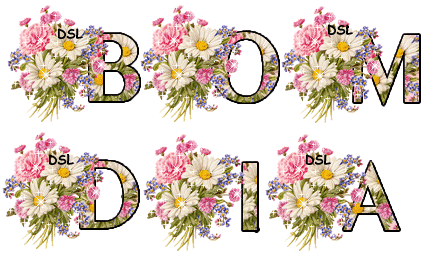 DSLpl55.png