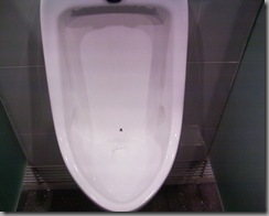 There's a fly in my loo!