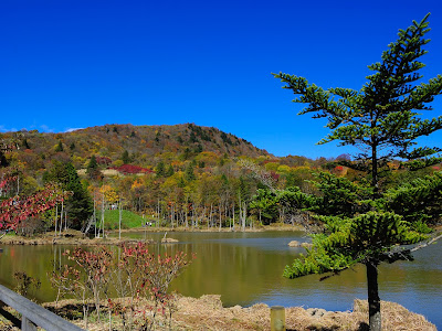 √100以上 茶臼山紅葉 989254-茶臼山紅葉 2021