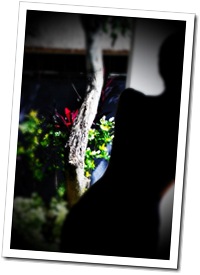 Alone