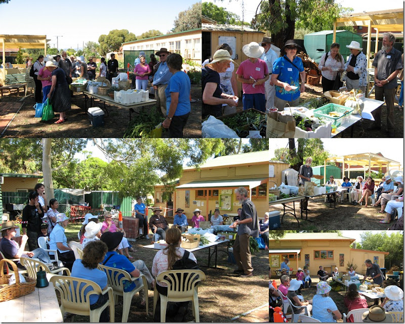 Seedy Saturday at Glandore