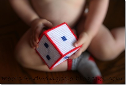 Stitched Canvas Infant Blocks 14
