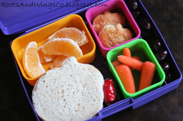 [lunches orange a[3].jpg]