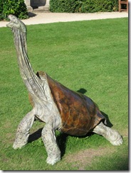 IMG_0086 Giant Tortoise