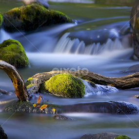 Water by Ferdinand Debnárik - Nature Up Close Water