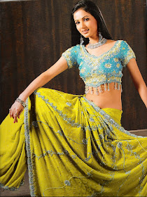 Designer Sari
