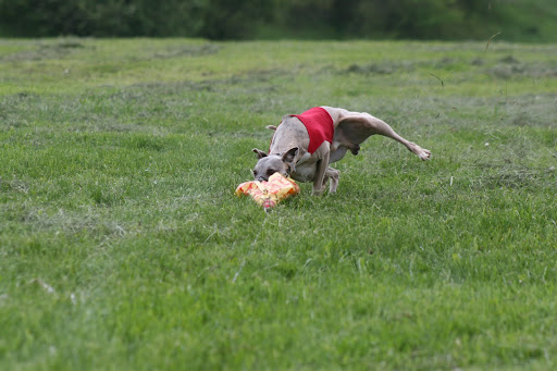 IMG_1464.JPG