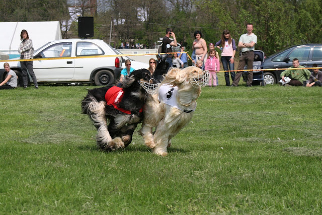IMG_1580.JPG