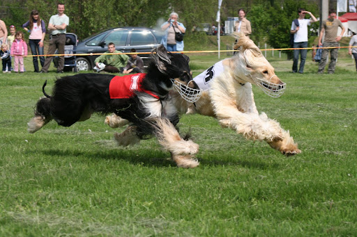 IMG_1581.JPG