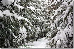 IMG_0490 IMG_0490