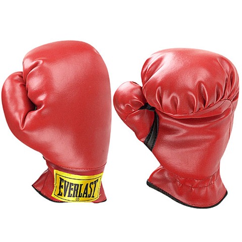 [everlast-boxing-gloves-cd5da[5].jpg]