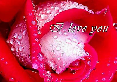 amor002.jpg