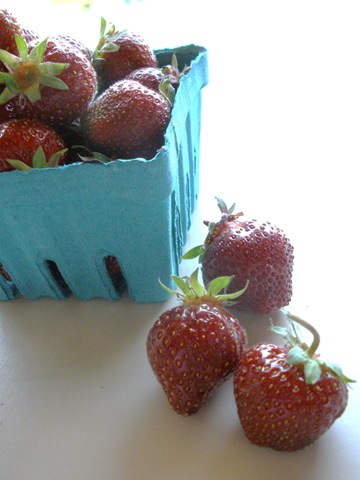 [Strawberries 006[2].jpg]