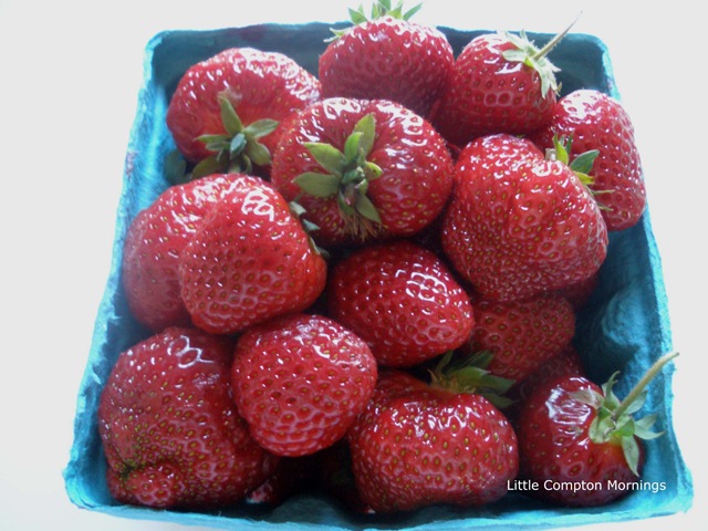 [White bread and strawb jam berries copy[5].jpg]