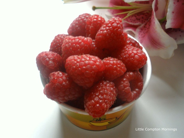 [Raspberries and more raspberries[9].jpg]