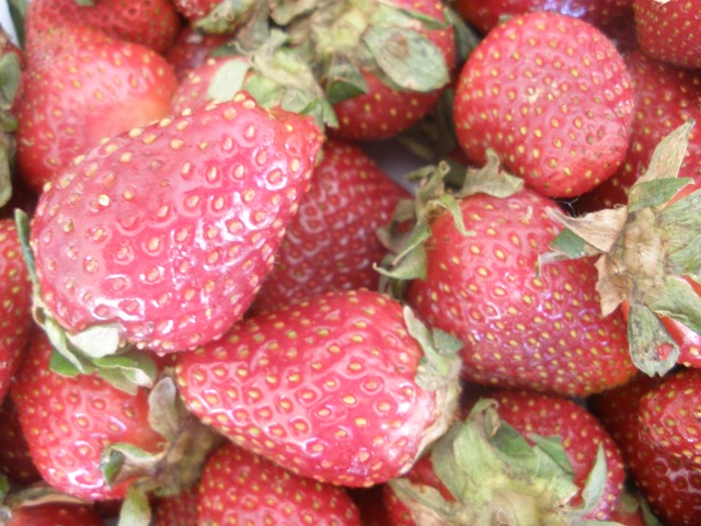 [Strawberries, Flowers, Orange Puff 015[2].jpg]