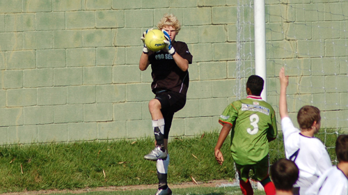PROFESSIONAL GOALKEEPER DEVELOPMENT PROFESSIONAL GOALKEEPER DEVELOPMENT